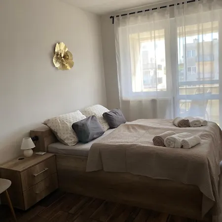 Montana Miskolc