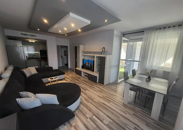 Montana 미슈콜츠