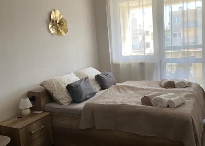 Montana 미슈콜츠